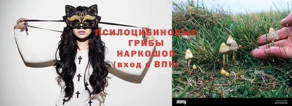 spice Белокуриха